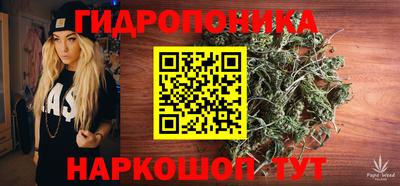 кокс Гай