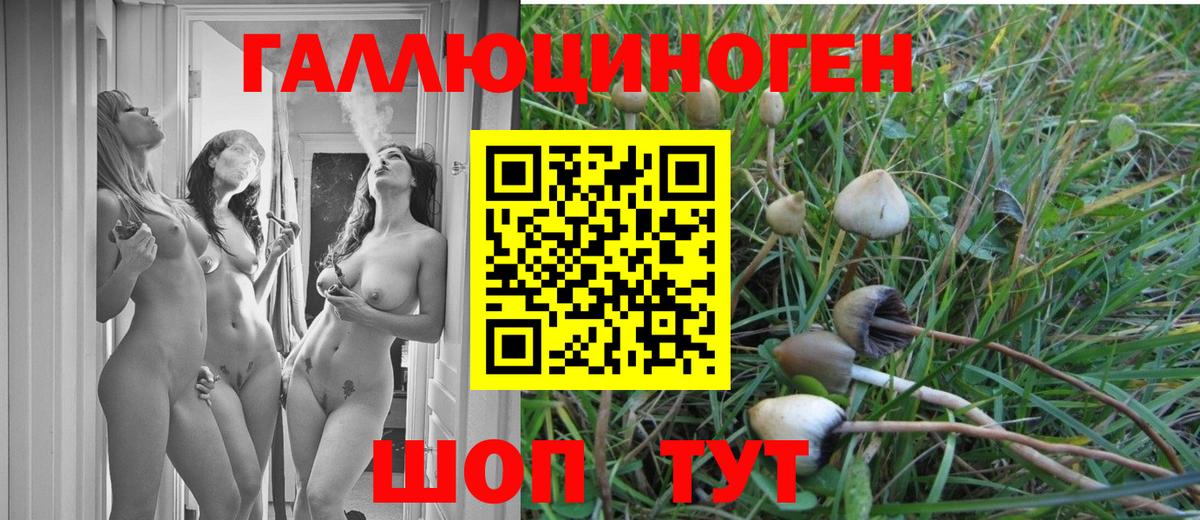 Галлюциногенные грибы Psilocybe  Вход с VPN  Менделеевск 